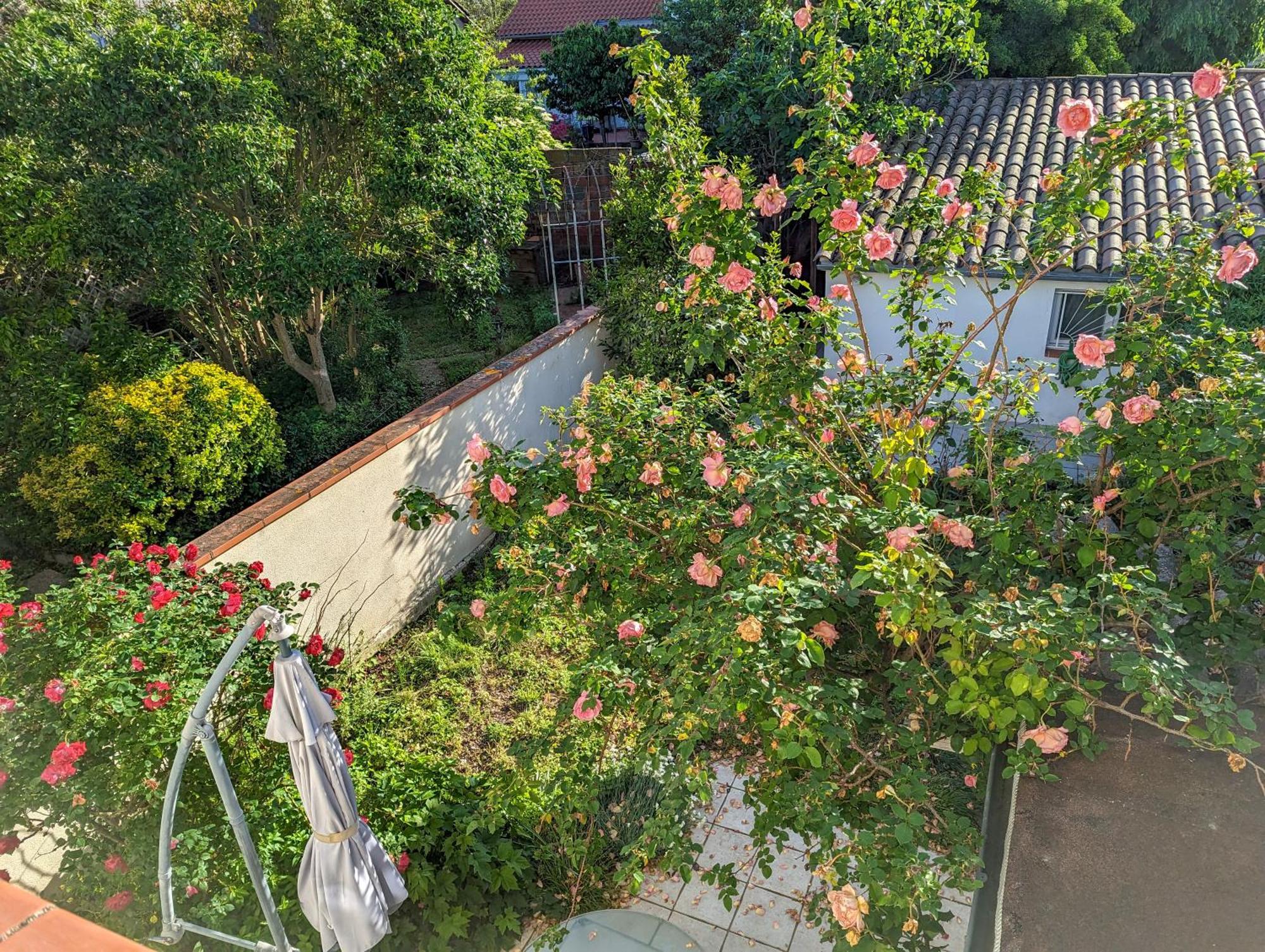 La Maison Calme Et Lumineuse Avec Jardin Toulouse Eksteriør bilde